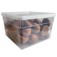 [26920] CHOCO WHIPS 11GR.
